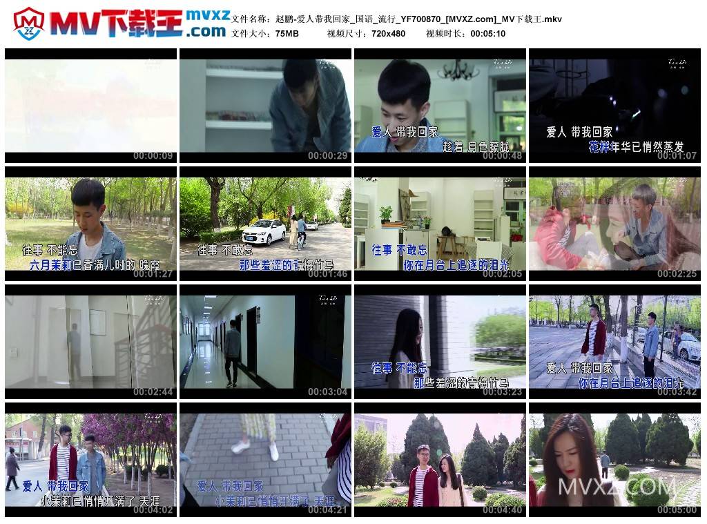 赵鹏-爱人带我回家_国语_流行_YF700870